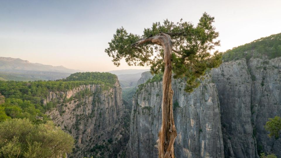 Antalya: Tazı Canyon Photo Safari Tour - Tour Details