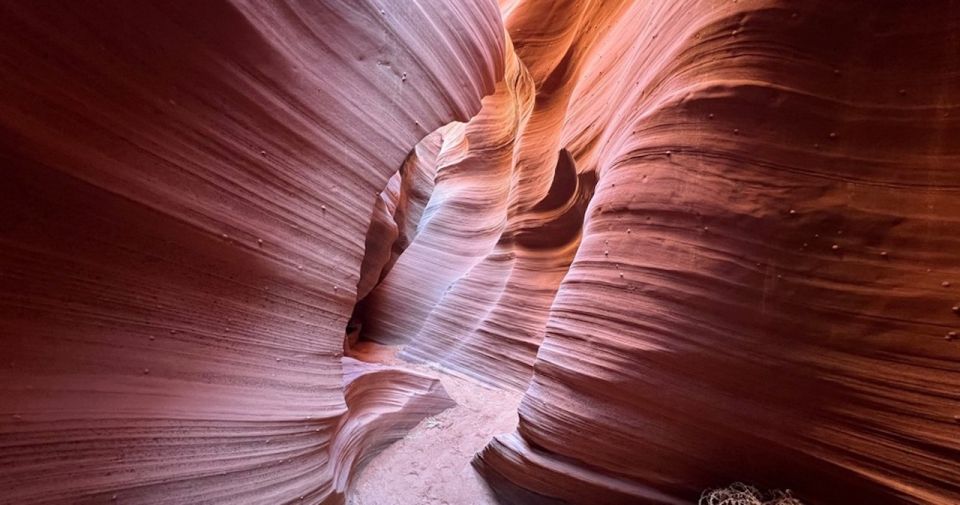 Antelope Canyon: Rattlesnake Canyon Tour - Key Points