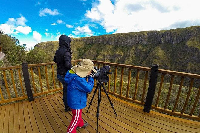Antisana Volcano Birding & Natural History Condor Tour PRIVATE, All Included