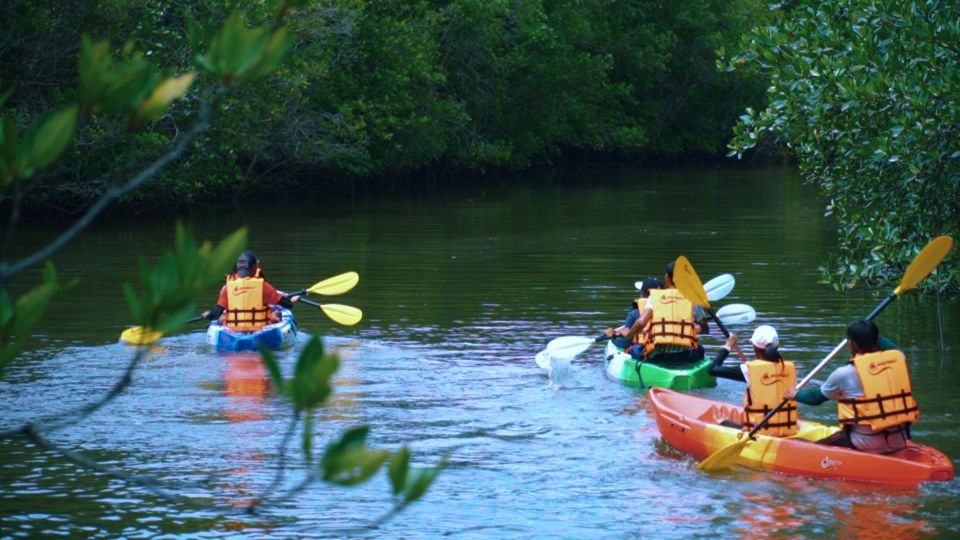 Ao Nang: Kayak Tour in Krabi Mangrove Forest With Lunch - Key Points