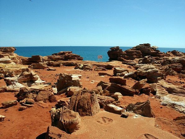 AOC Whale Watching From Broome - Key Points