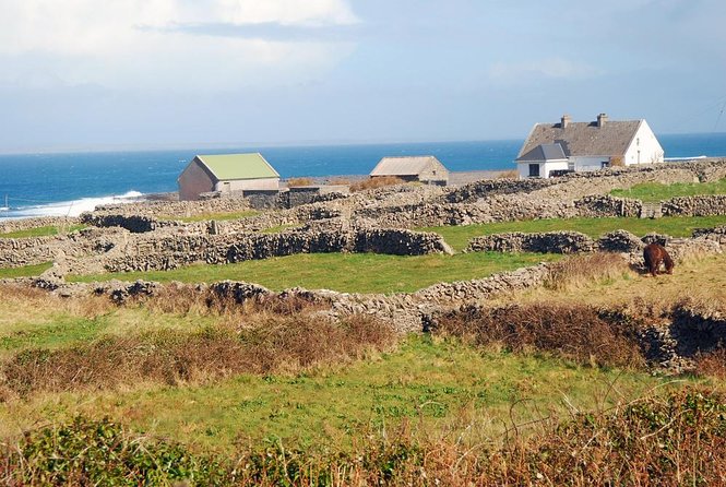 Aran Islands Pub Tour From Galway. Inisheer/Inishmore. Guided. - Key Points
