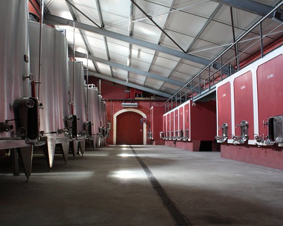 Ardèche Wine Estate Visit (Mar ) - Key Points