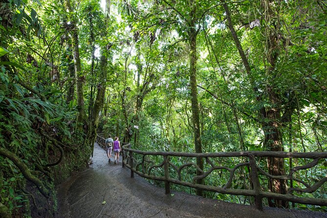 Arenal Hanging Bridges, Guided Walk, Hot Springs Optional - Tour Overview