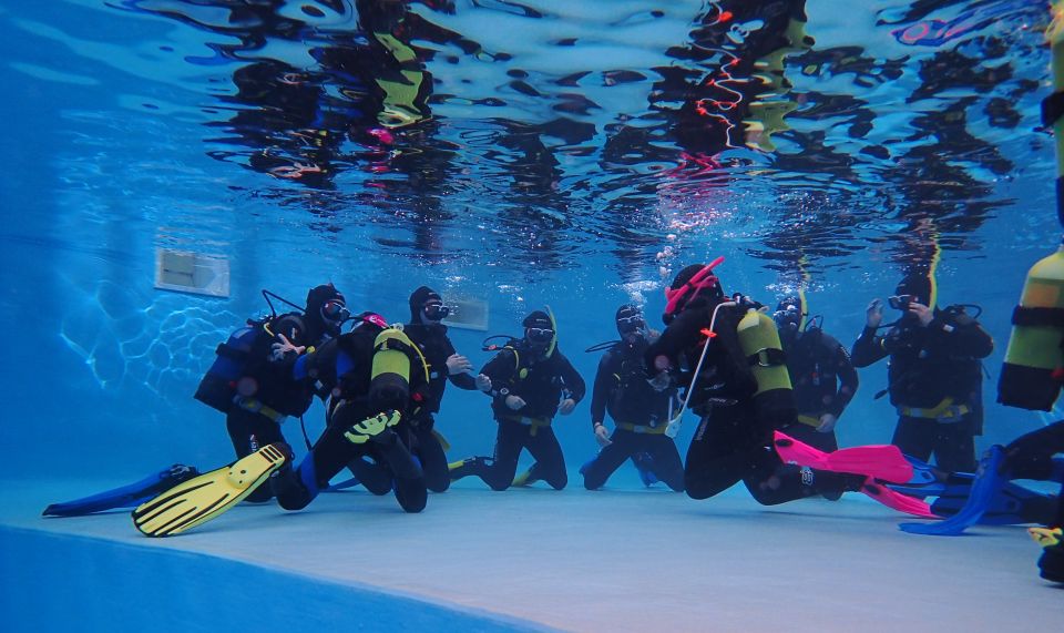 Arrábida: Open Water Diver Course in Arrábida Marine Reserve - Key Points