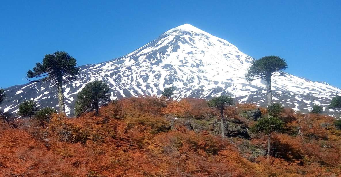 Ascent to Lanin Volcano, 3,776masl, From Pucón - Key Points