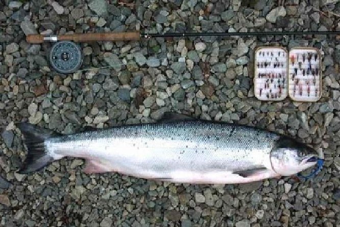 Atlantic Salmon & Sea Trout Fishing.Connemara.English/French Speaking Ghillie - Key Points