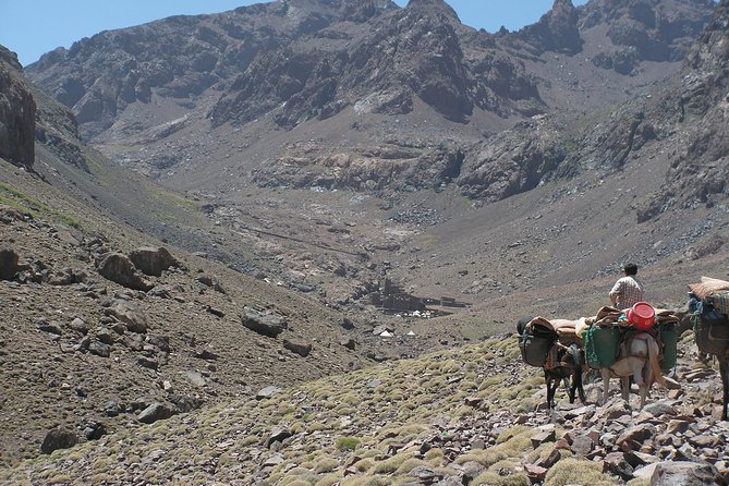 Atlas Mountains Day Tour With Camel Ride - Key Points