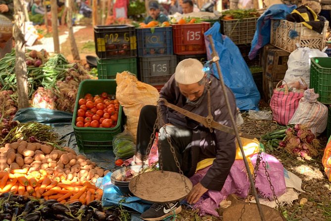 Atlas Mountains Full Day Group Trek With Lunch (Mar ) - Key Points