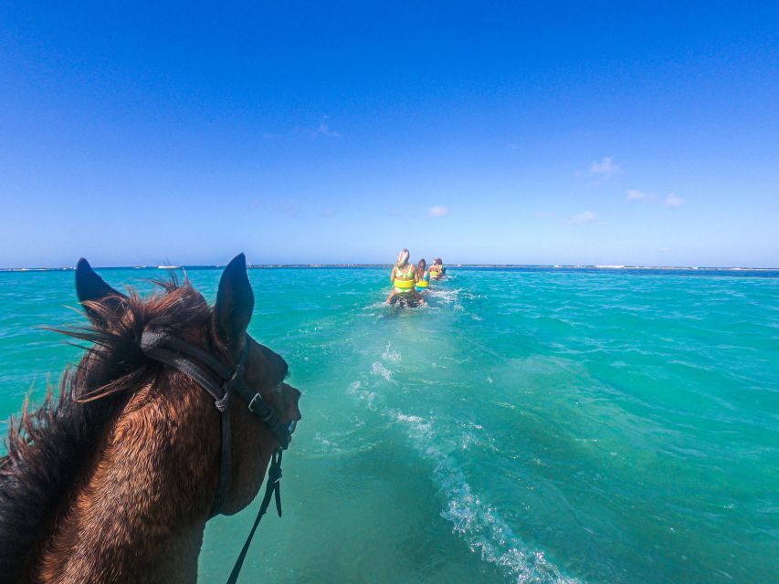 ATV and Horseback Ride and Swim From Montego Bay - Just The Basics