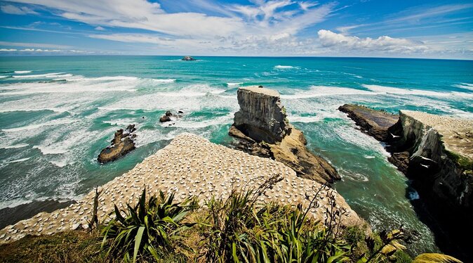 Auckland Coastal Experience - Small Group City & Beach Tour Incl. Wine Tasting - Key Points