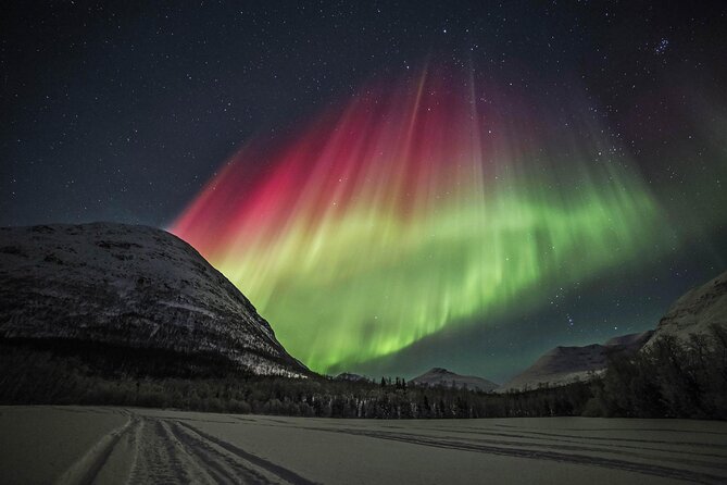 Aurora Chase With Professional Photographers (Northern Lights) - Key Points