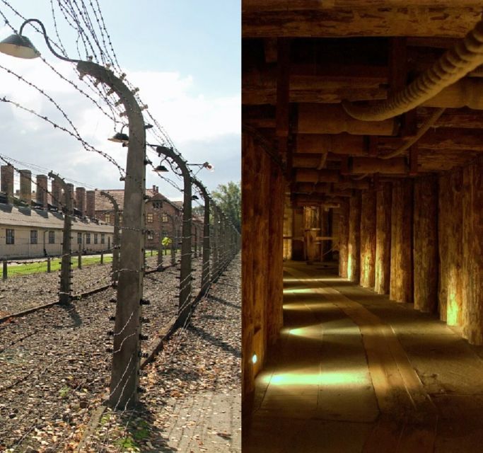 Auschwitz-Birkenau & Salt Mine Tour in One Day From Krakow - Key Points