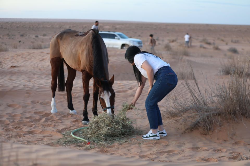 Authentic Tozeur on Horseback With Private Transfer - Key Points