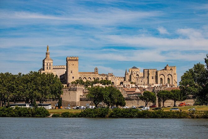 Avignon Private Walking Tour With A Professional Guide - Key Points