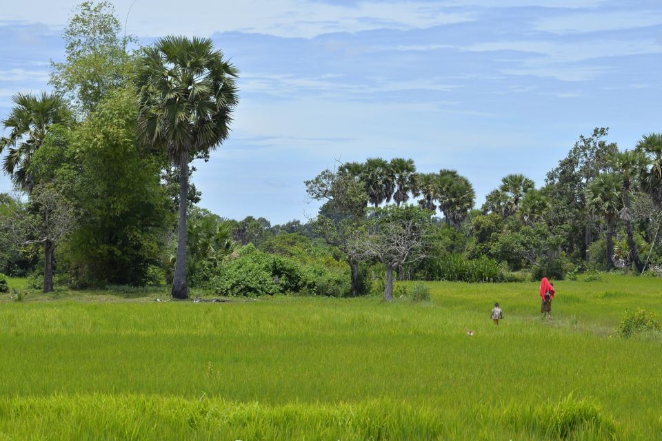 Back to Basics: Village Life Tour From Siem Reap - Key Points