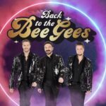 back to the bee gees Back to the Bee Gees