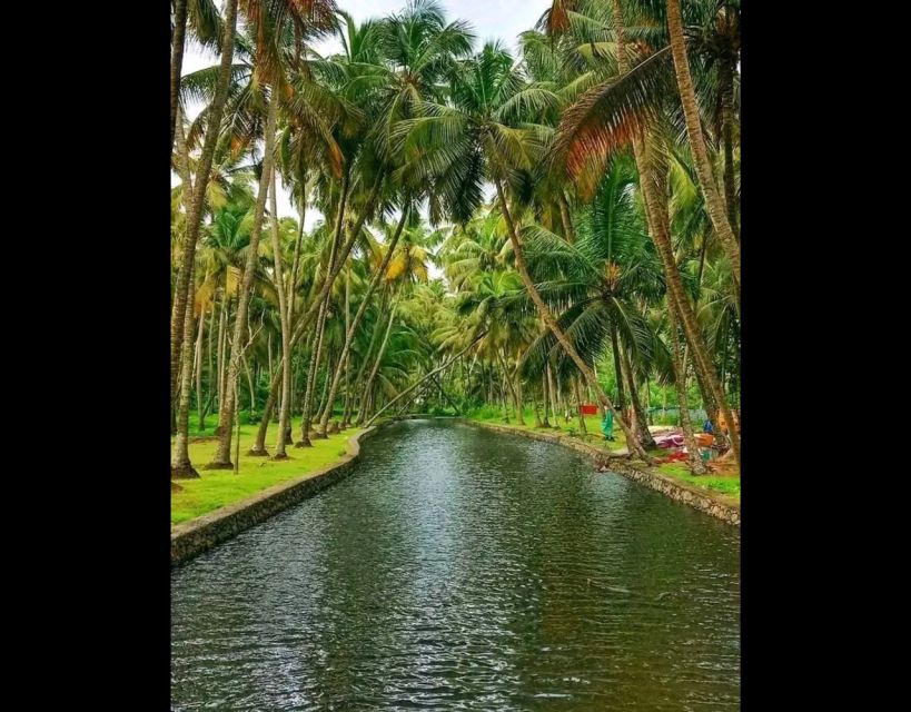 Backwater Cruise, Cloth Weaving, Coir Spinning, Kerala Lunch - Key Points