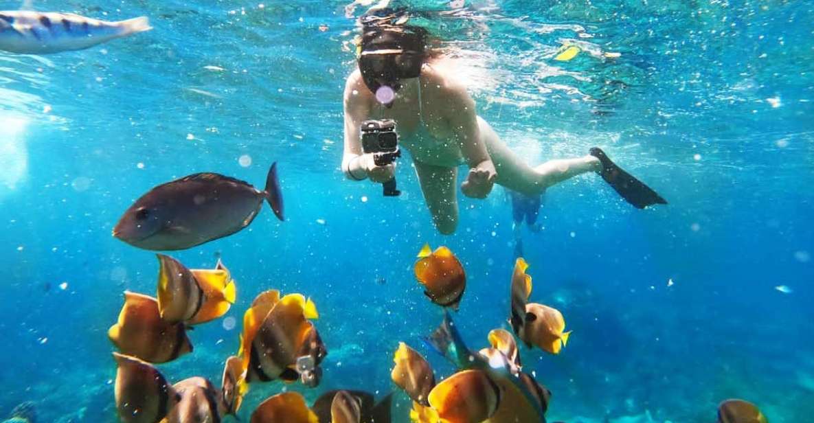 Bali Activities: Snorkeling at Blue Lagoon and Tanjung Jepun - Key Points