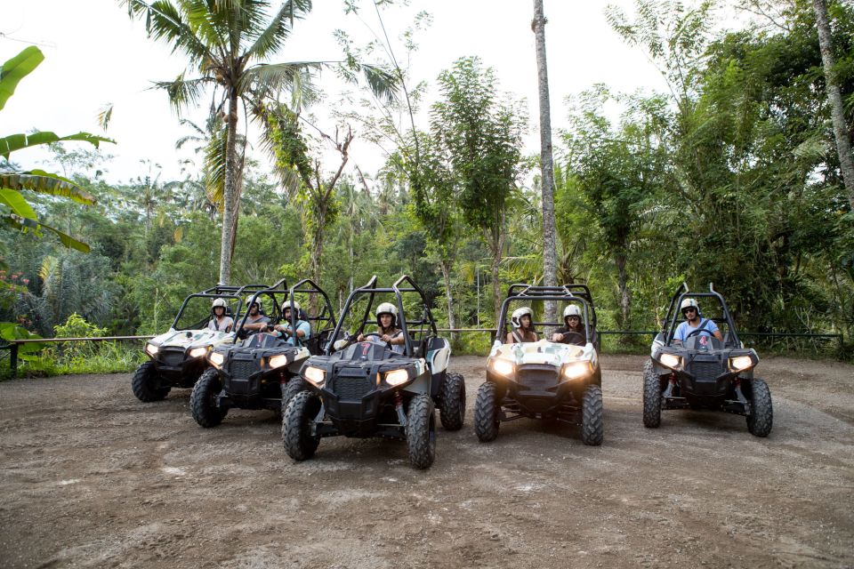 Bali: ATV Jungle Buggy Adventure - Key Points