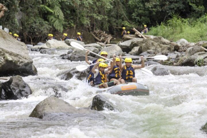 Bali: Ayung River Premium White Water Rafting With Lunch - Key Points