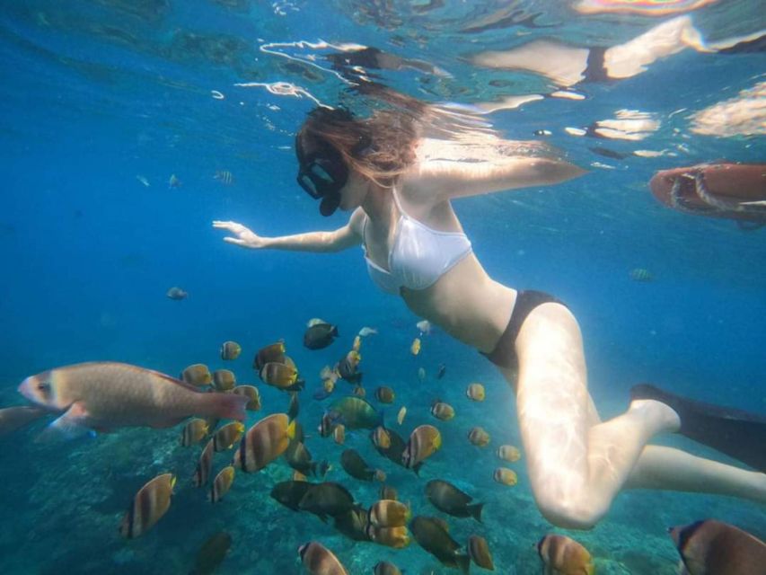 Bali : Best of Trip Nusapenida & Snorkeling Adventure - Key Points