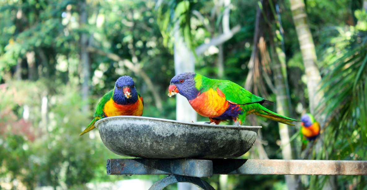 Bali Bird Park: 1-Day Admission Ticket - Key Points