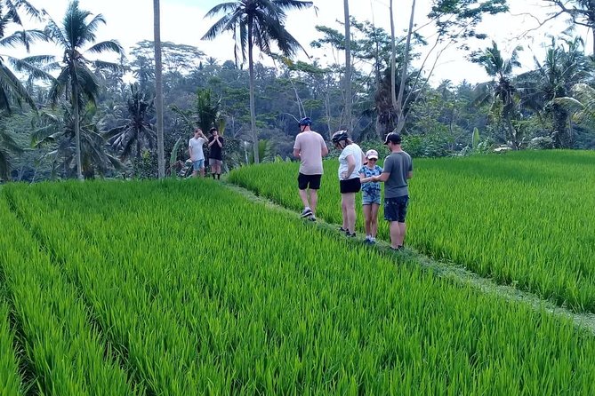Bali Countryside Cycling Adventure - Key Points