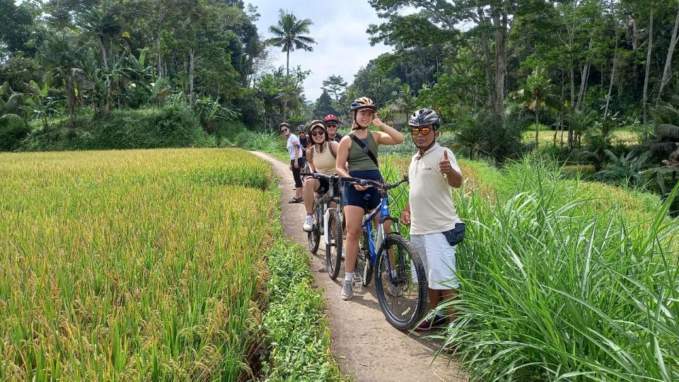 Bali Countryside Cycling Tour - Key Points