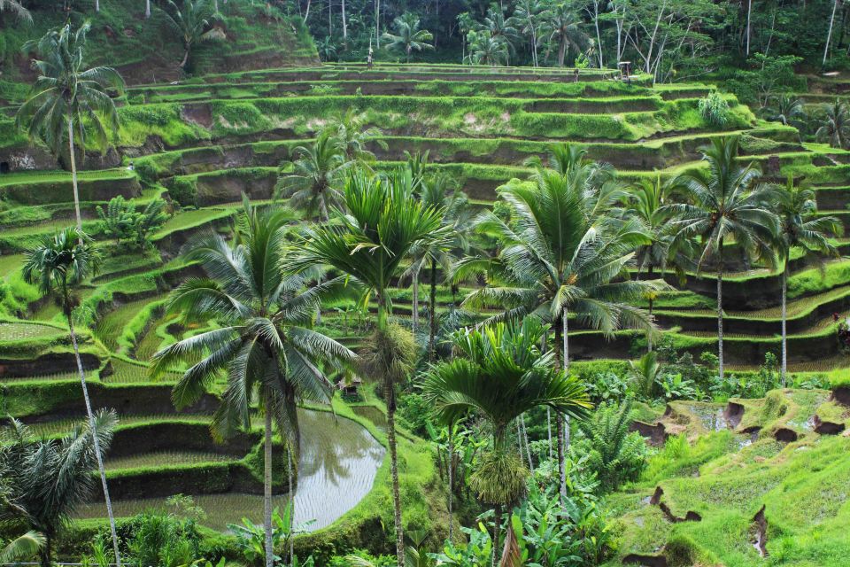 Bali Full-Day Private Customized Tour - Key Points