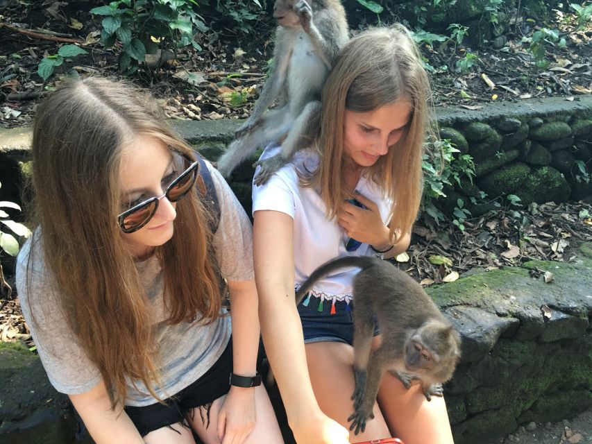 Bali: Leke-Leke Waterfall, Monkey Forest & Jungle Swing Tour - Key Points