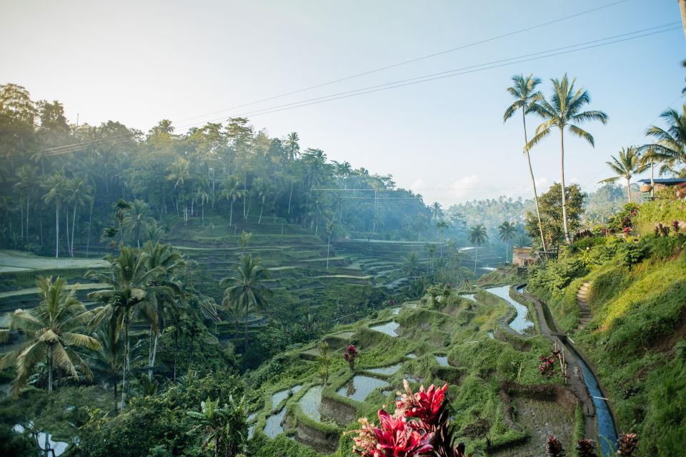 Bali: Lempuyang Quick Access, Waterfall, Water Palace & More - Key Points