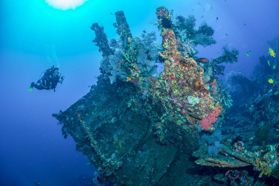 Bali: Tulamben Bay and the USAT Liberty Wreck Dive - Key Points