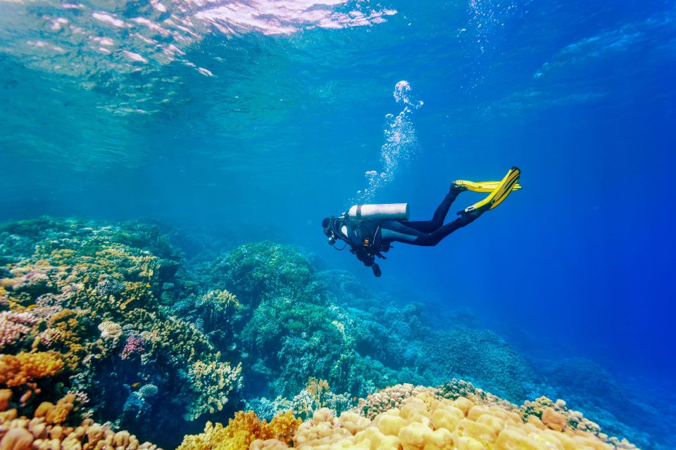 Bali: Tulamben Bay Beginner's Dive Experience - Key Points