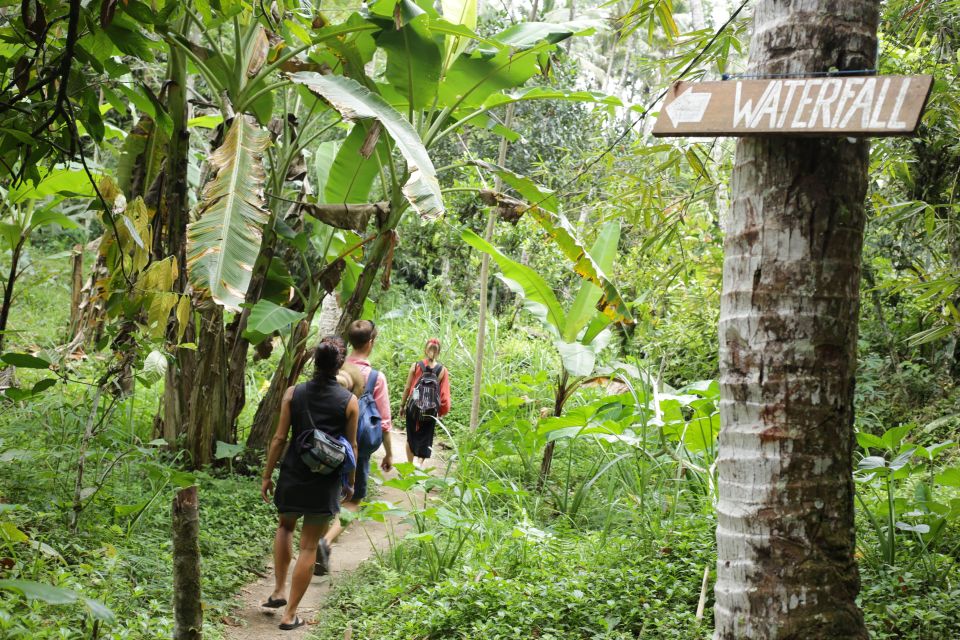 Bali Waterfalls Quest, Discover 4 Waterfalls in 1 Day - Key Points