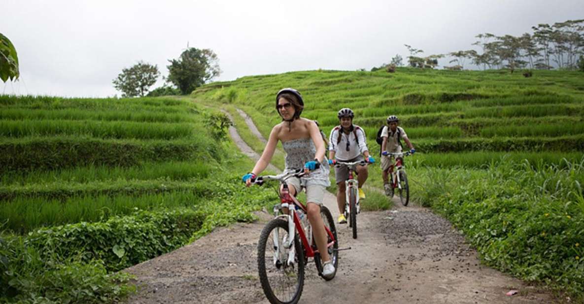 Bali: White Water Rafting & Cycling Tour - All Inclusive - Key Points