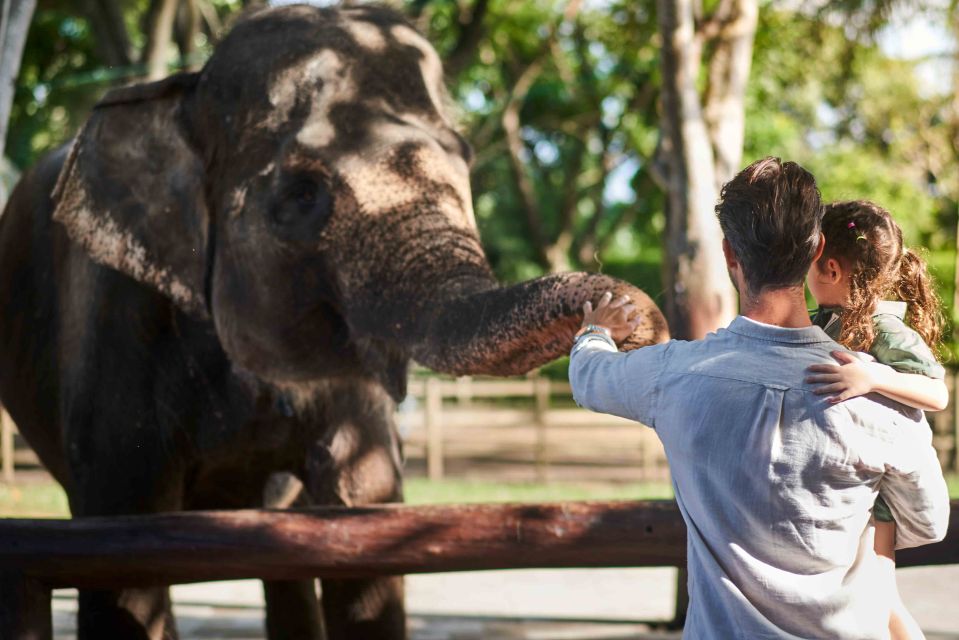 Bali Zoo: Breakfast With the Orangutans - Key Points