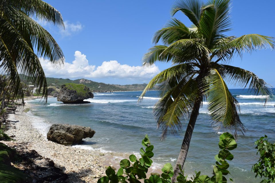 Barbados Surf & Turf - Key Points