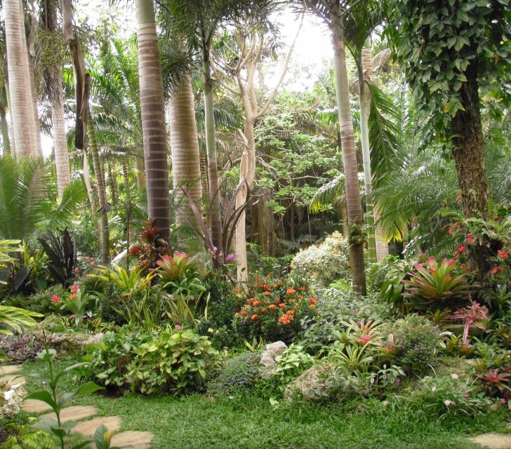 Barbados: Tour of Harrison's Cave & Hunte's Gardens - Key Points