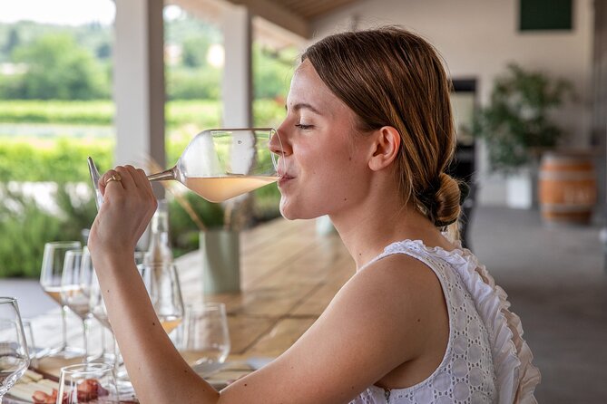 Bardolino Winery Tour and Tasting  - Verona - Key Points