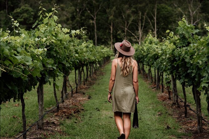 Barefoot Luxury Mount Tamborine Winery Tour From Brisbane - Key Points