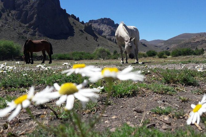 Bariloche Horseback Riding & Traditional Argentine Barbecue Tour - Horseback Riding Experience