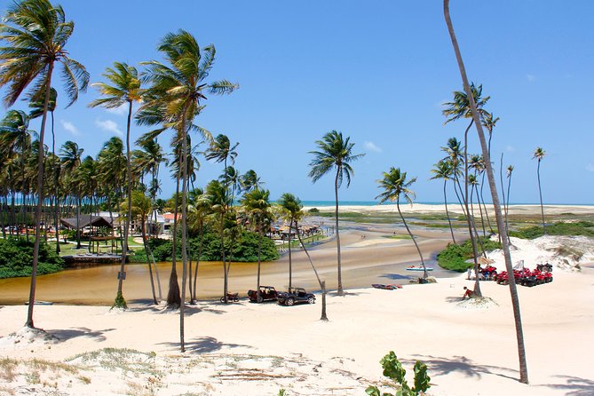 Barra De Punaú Tour - Departing From Natal - Key Points