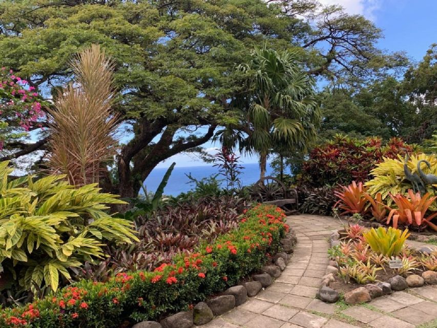 Basseterre: Plantation and Beach Extravaganza - Tour Highlights