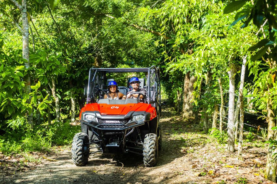 bayahibe la romana 4x4 buggy and monkeyland tour Bayahibe/La Romana: 4x4 Buggy and Monkeyland Tour