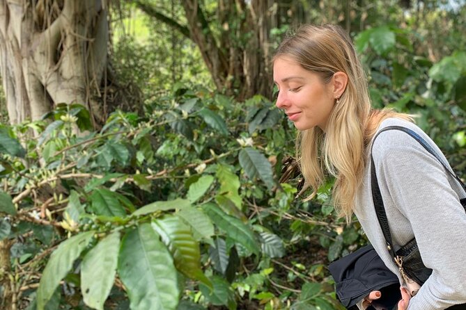 Be a Farmer for One Day (Coffee Farm Experience) - Key Points