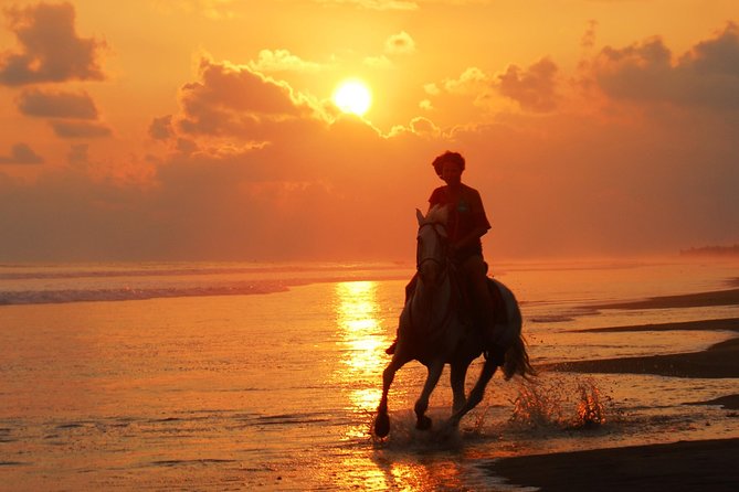 Beachfront Horseback Riding Tour From Quepos  - Jaco - Key Points