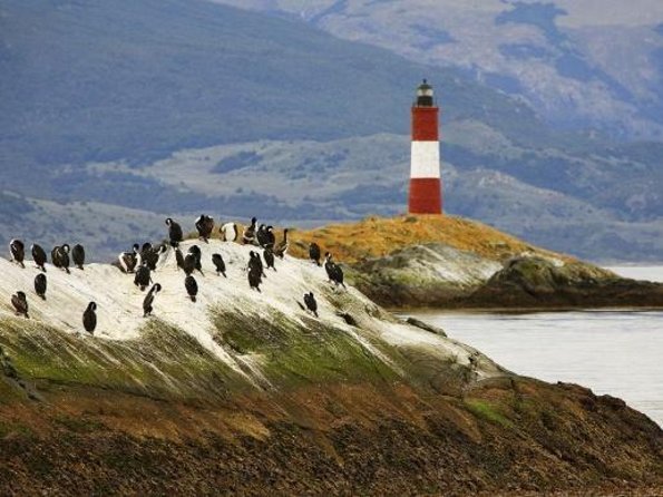 Beagle Channel Sailing Tour: Birds, Seals & Penguins Islands - Key Points