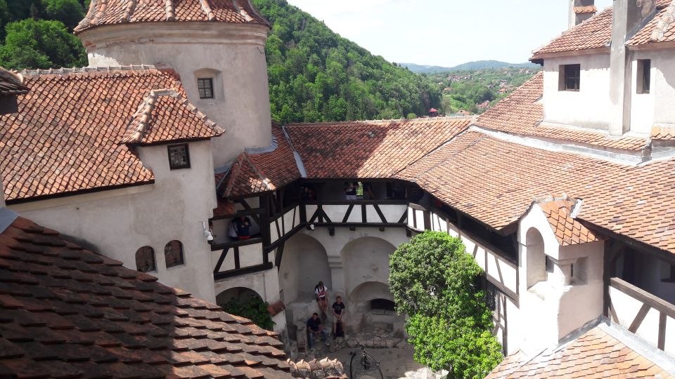 Bear Sanctuary-Bran Castle-Rasnov Fortress From Brasov - Key Points