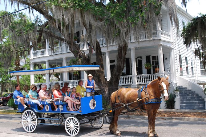 Beaufort Small-Group Historic Horse-Drawn Carriage Tour  - Hilton Head Island - Just The Basics